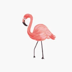 Animals Personalized Stationery