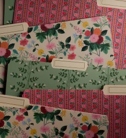 Assorted File Folders