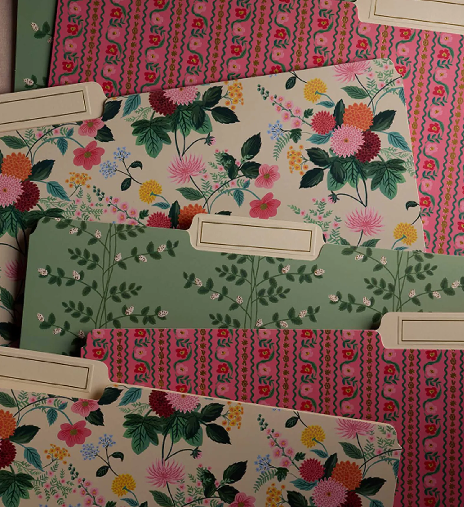 Assorted File Folders