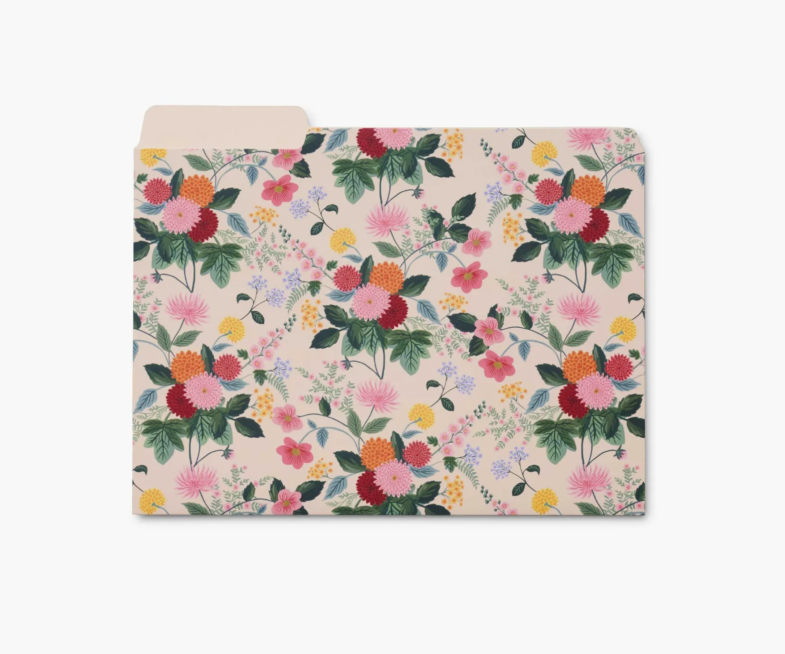 Assorted File Folders