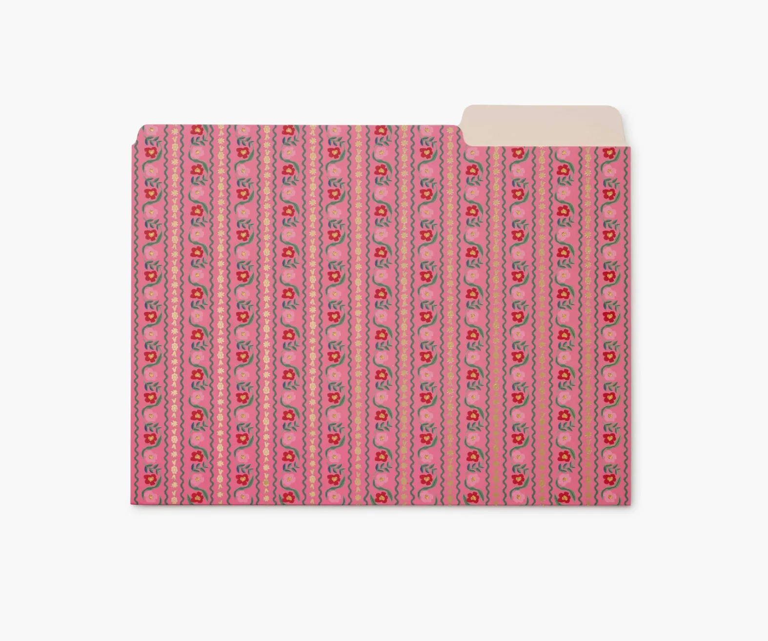 Assorted File Folders