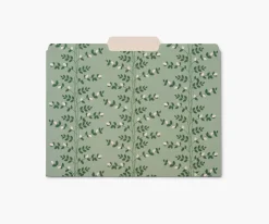 Assorted File Folders