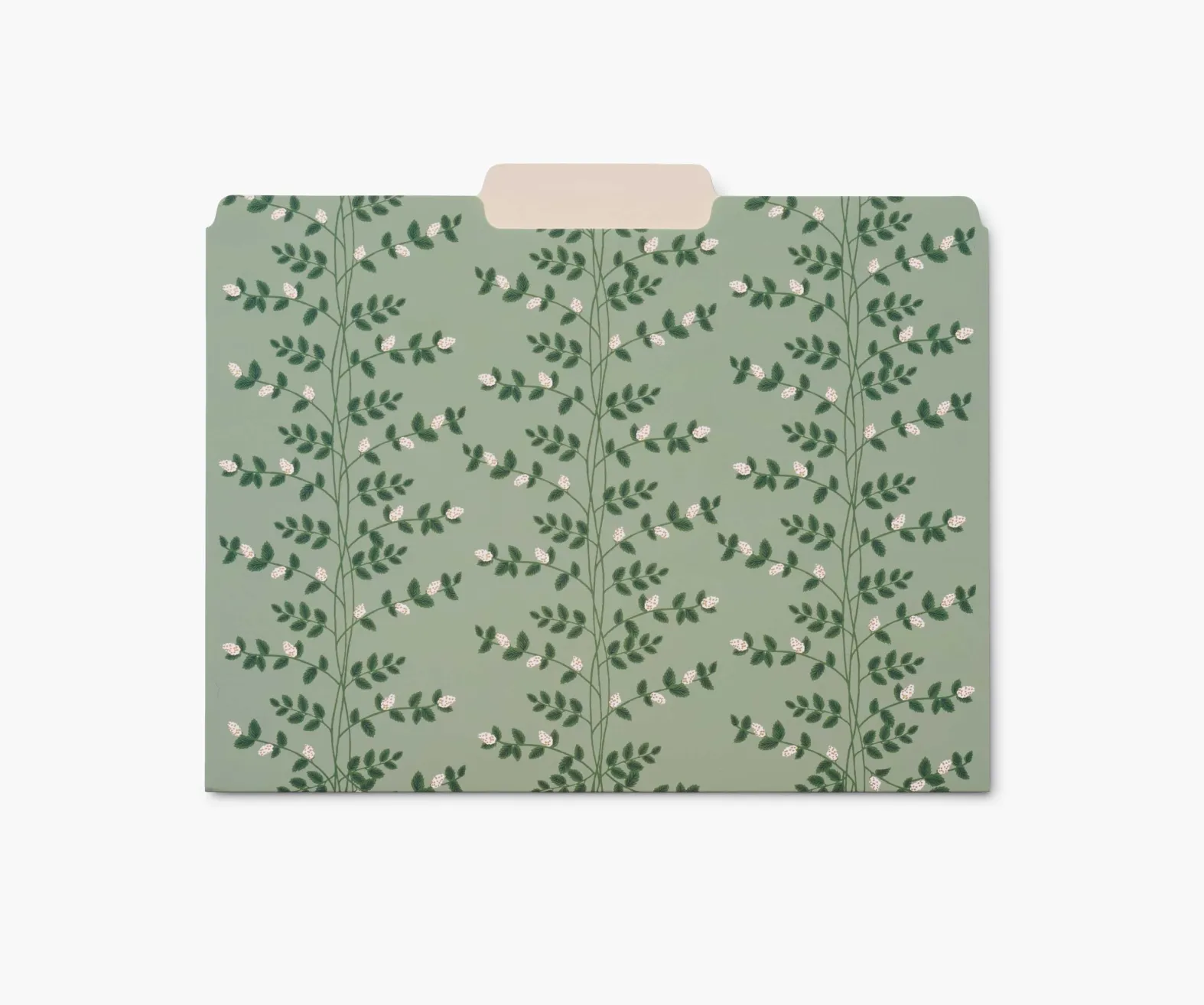 Assorted File Folders