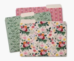 Assorted File Folders