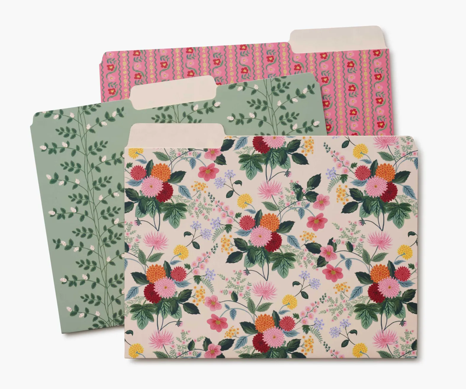 Assorted File Folders