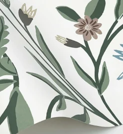 Aster Wallpaper