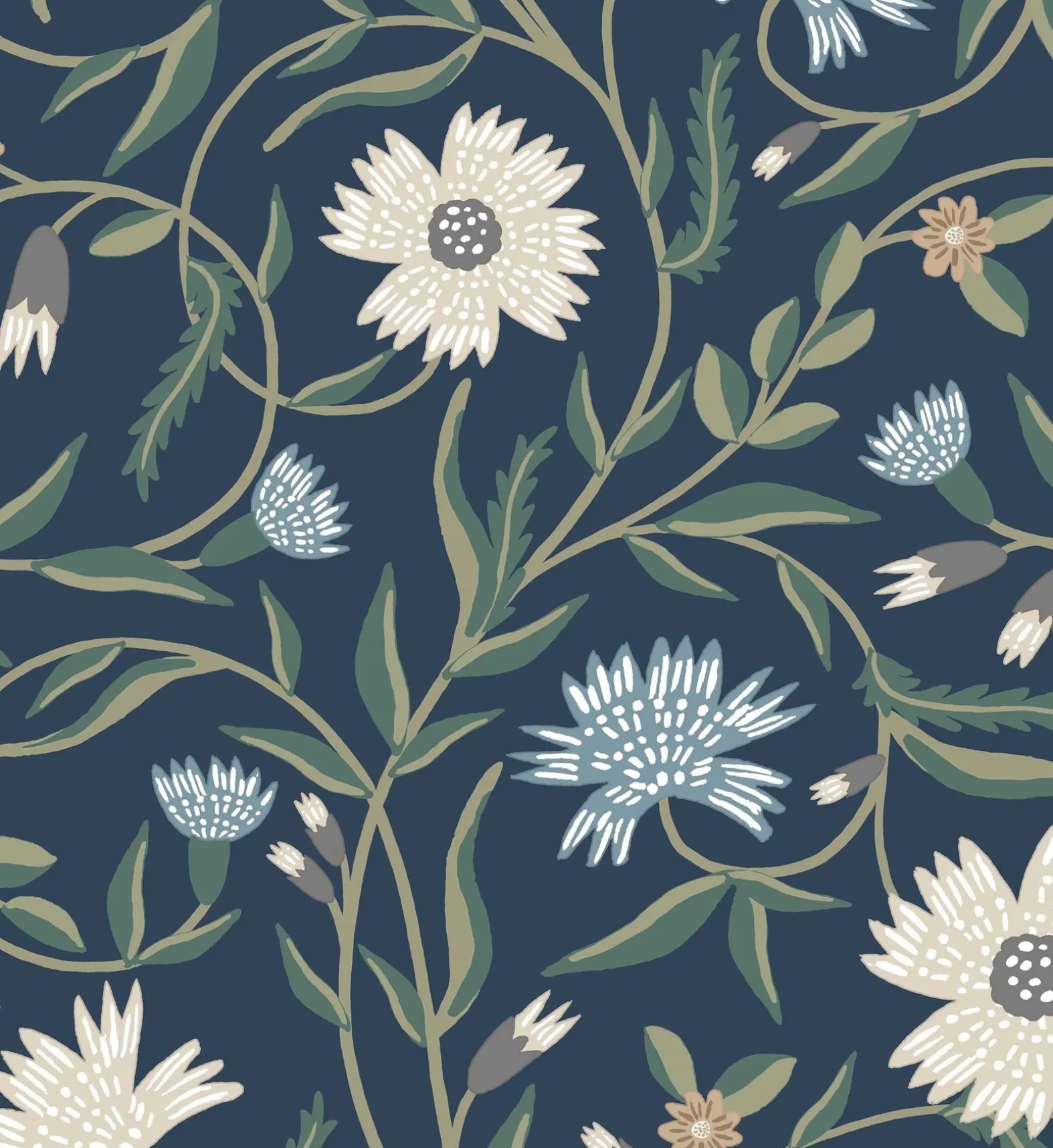 Aster Wallpaper
