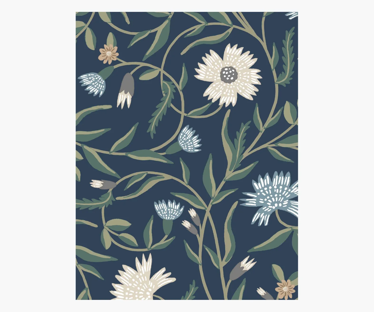Aster Wallpaper