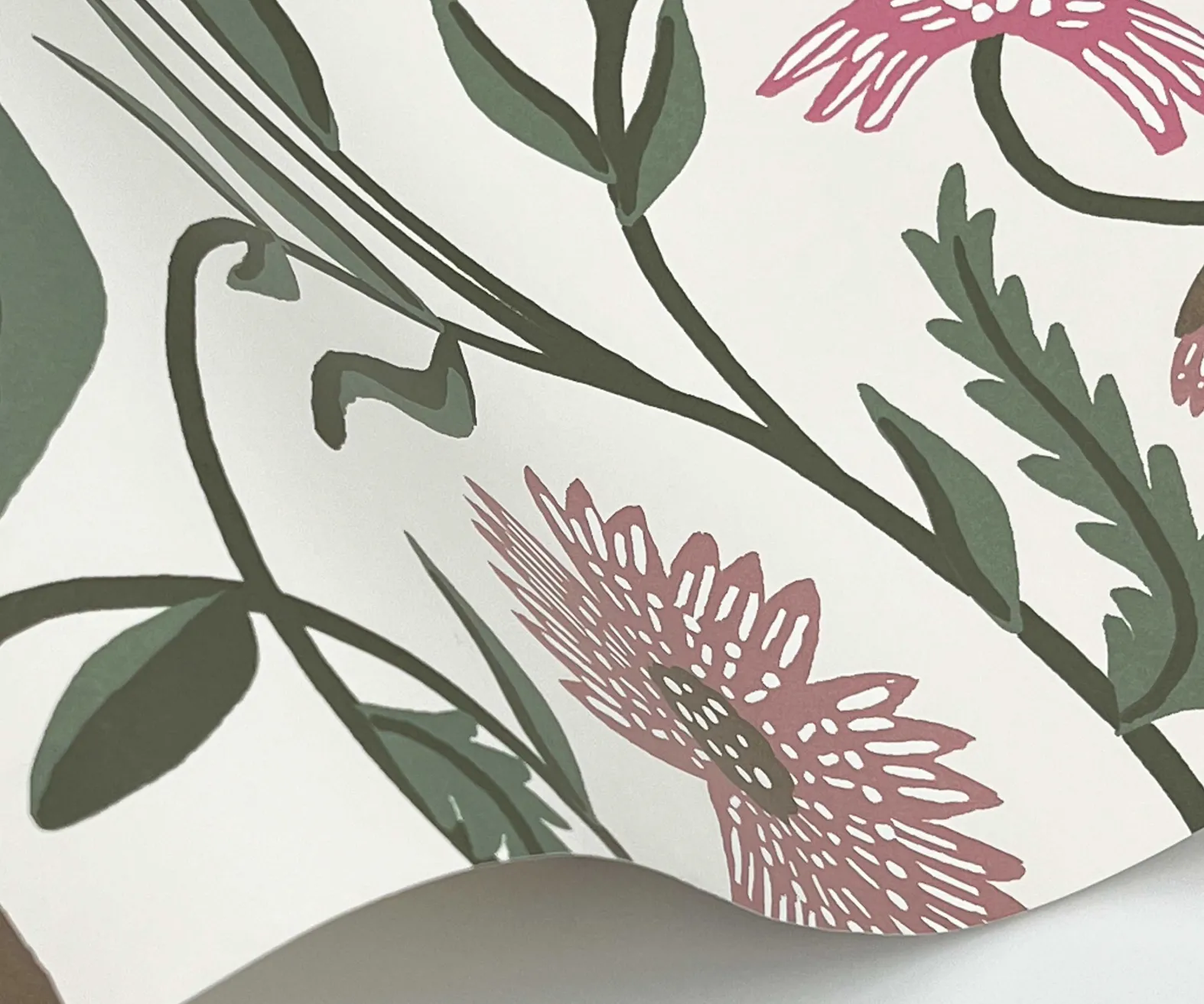 Aster Wallpaper
