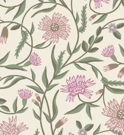 Aster Wallpaper