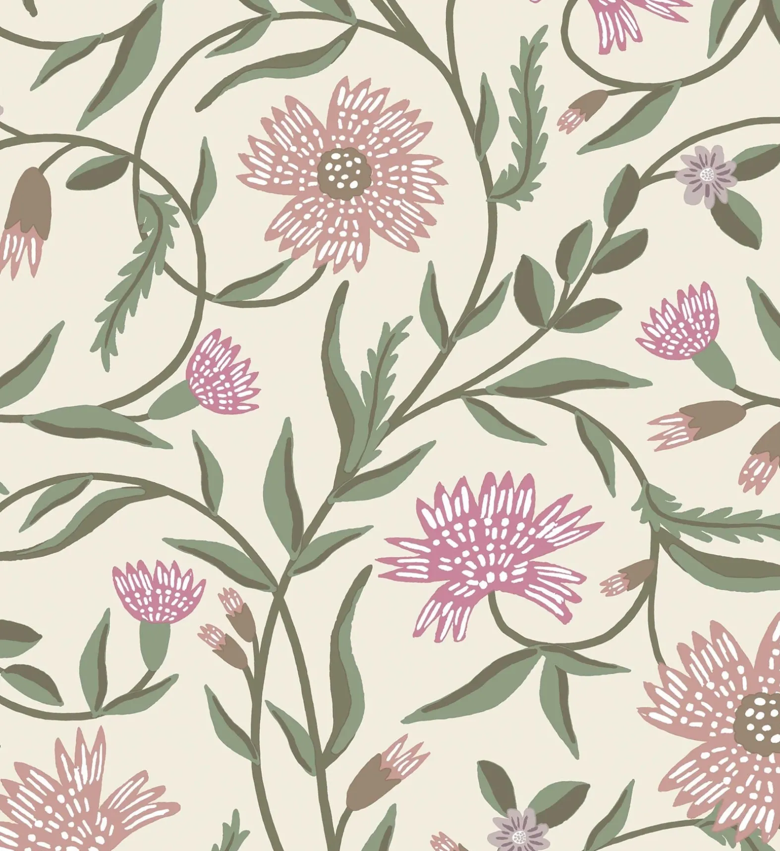 Aster Wallpaper
