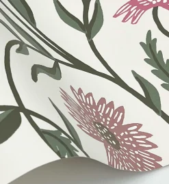 Aster Wallpaper