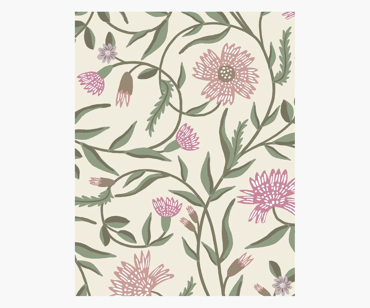 Aster Wallpaper