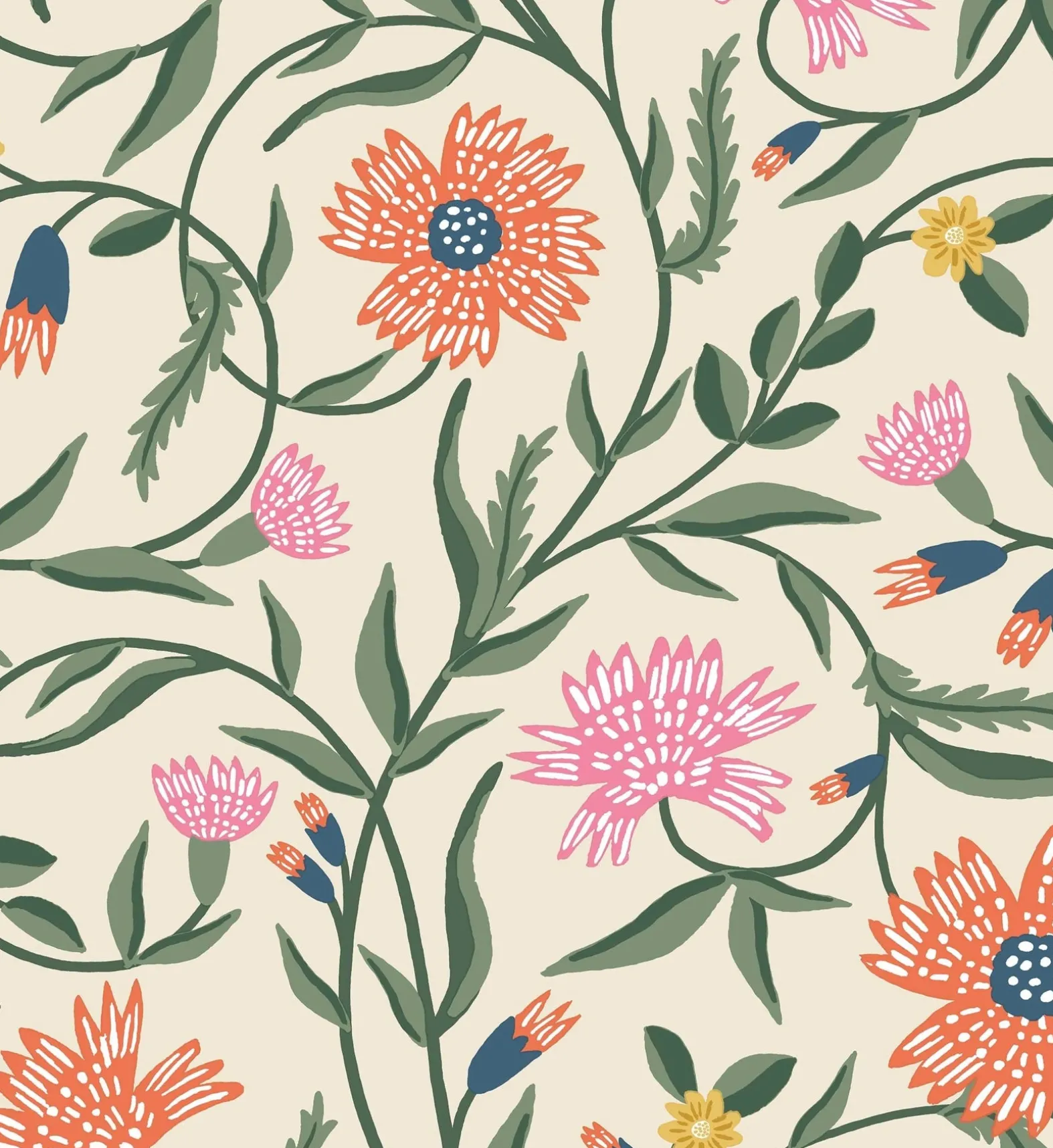 Aster Wallpaper