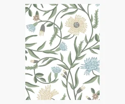 Aster Wallpaper Sample