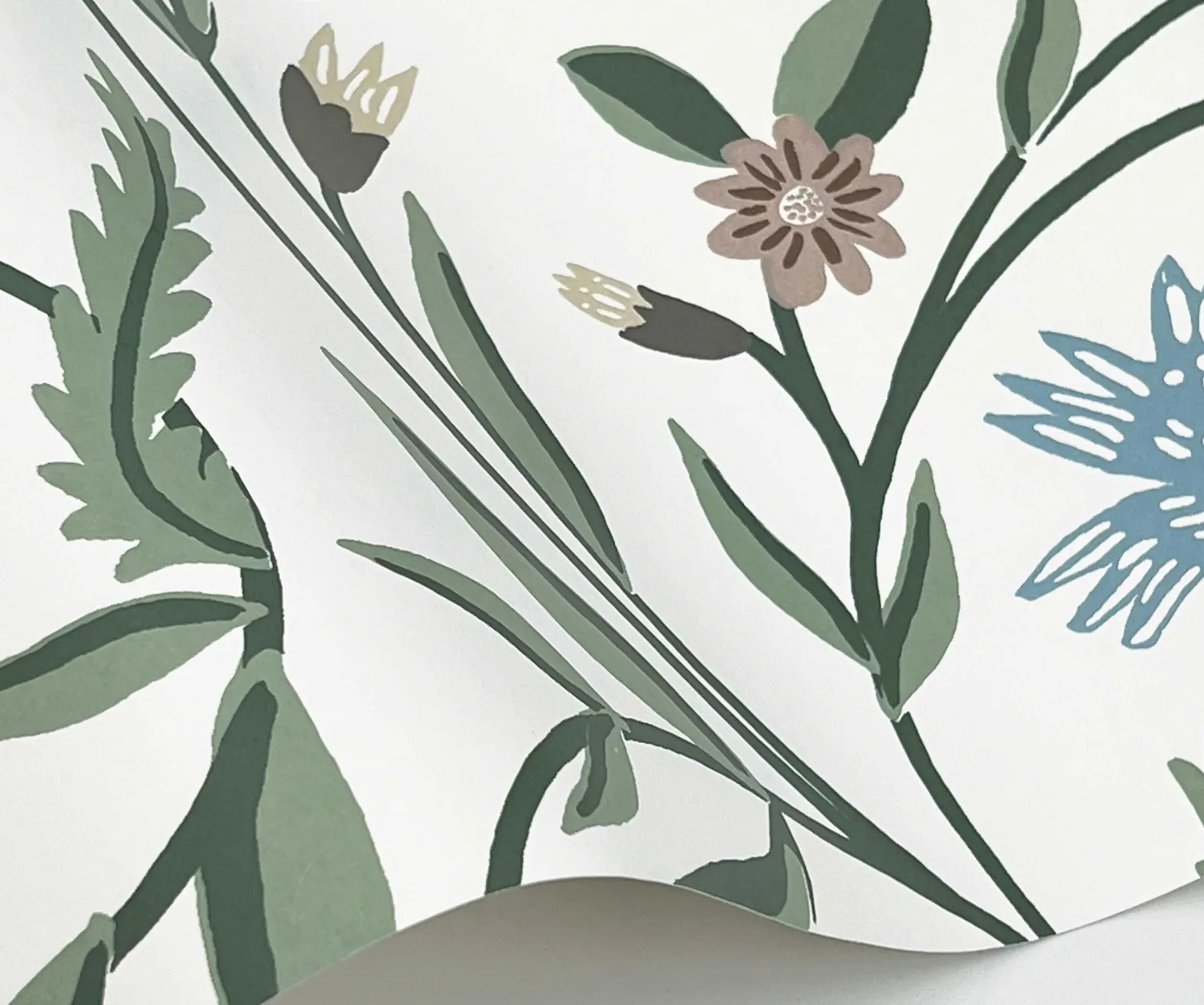 Aster Wallpaper Sample