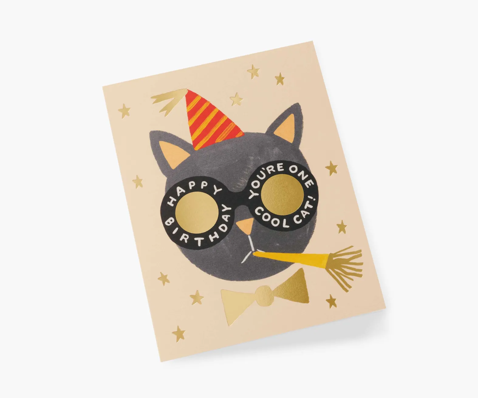 Birthday Cat Birthday Card