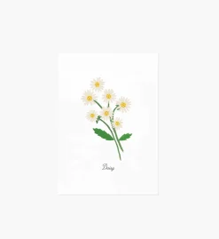 Birth Month Art Print
