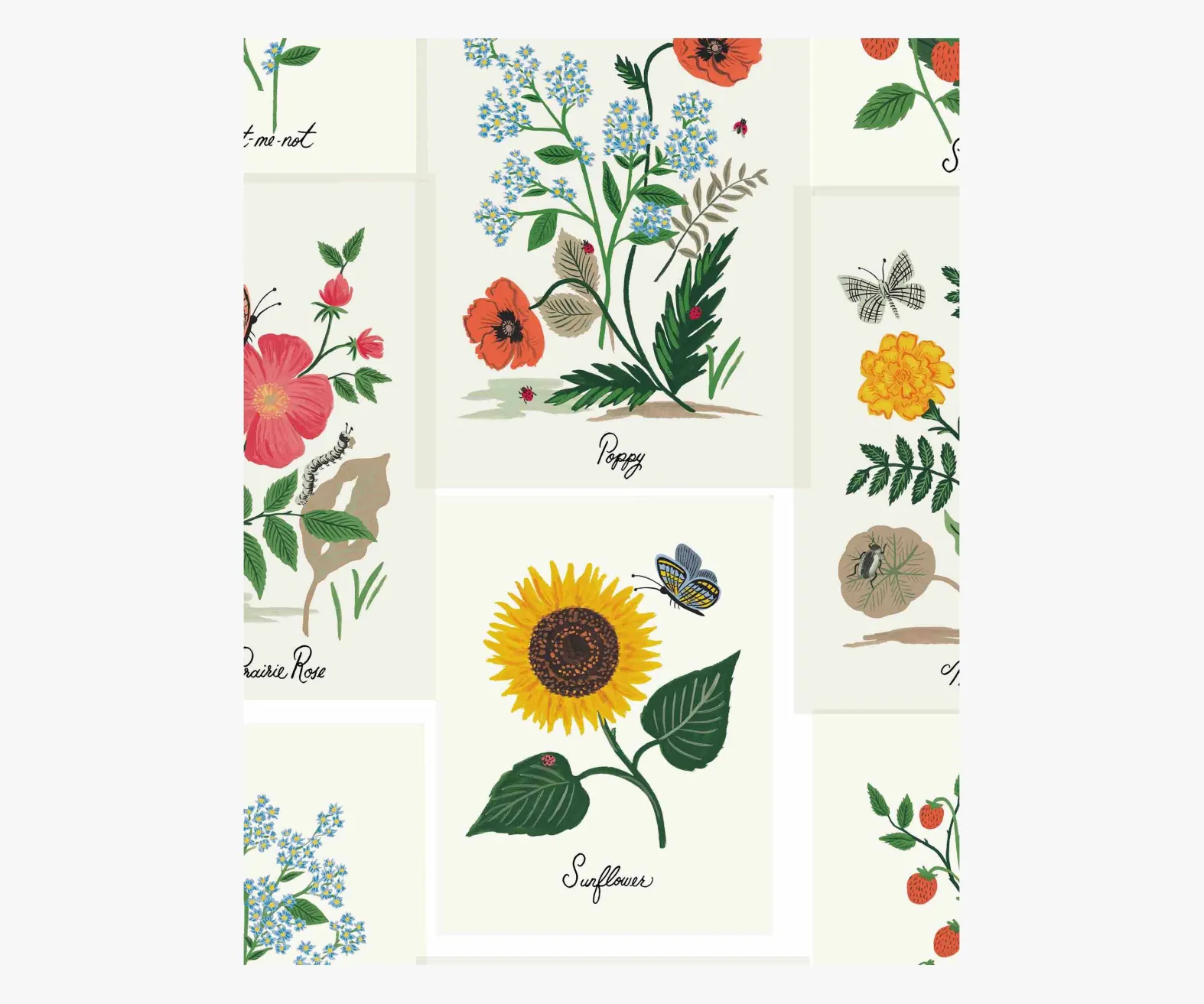 Botanical Prints Wallpaper