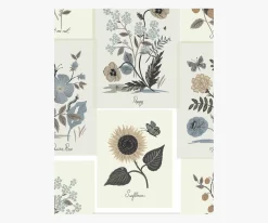 Botanical Prints Wallpaper