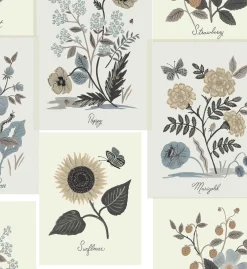 Botanical Prints Wallpaper