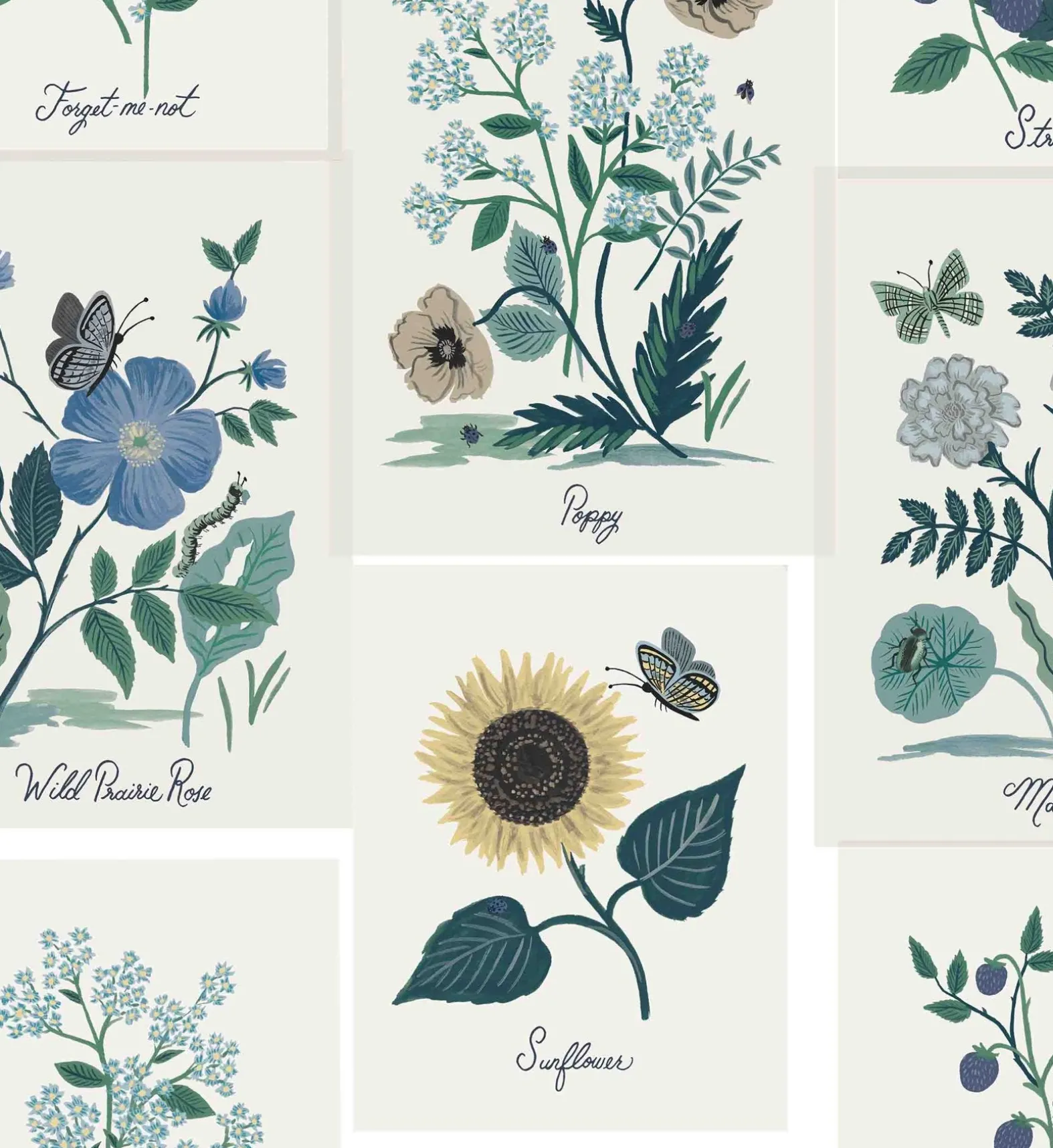 Botanical Prints Wallpaper