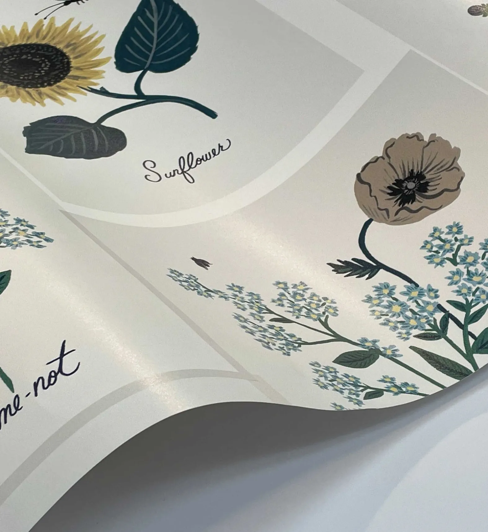 Botanical Prints Wallpaper