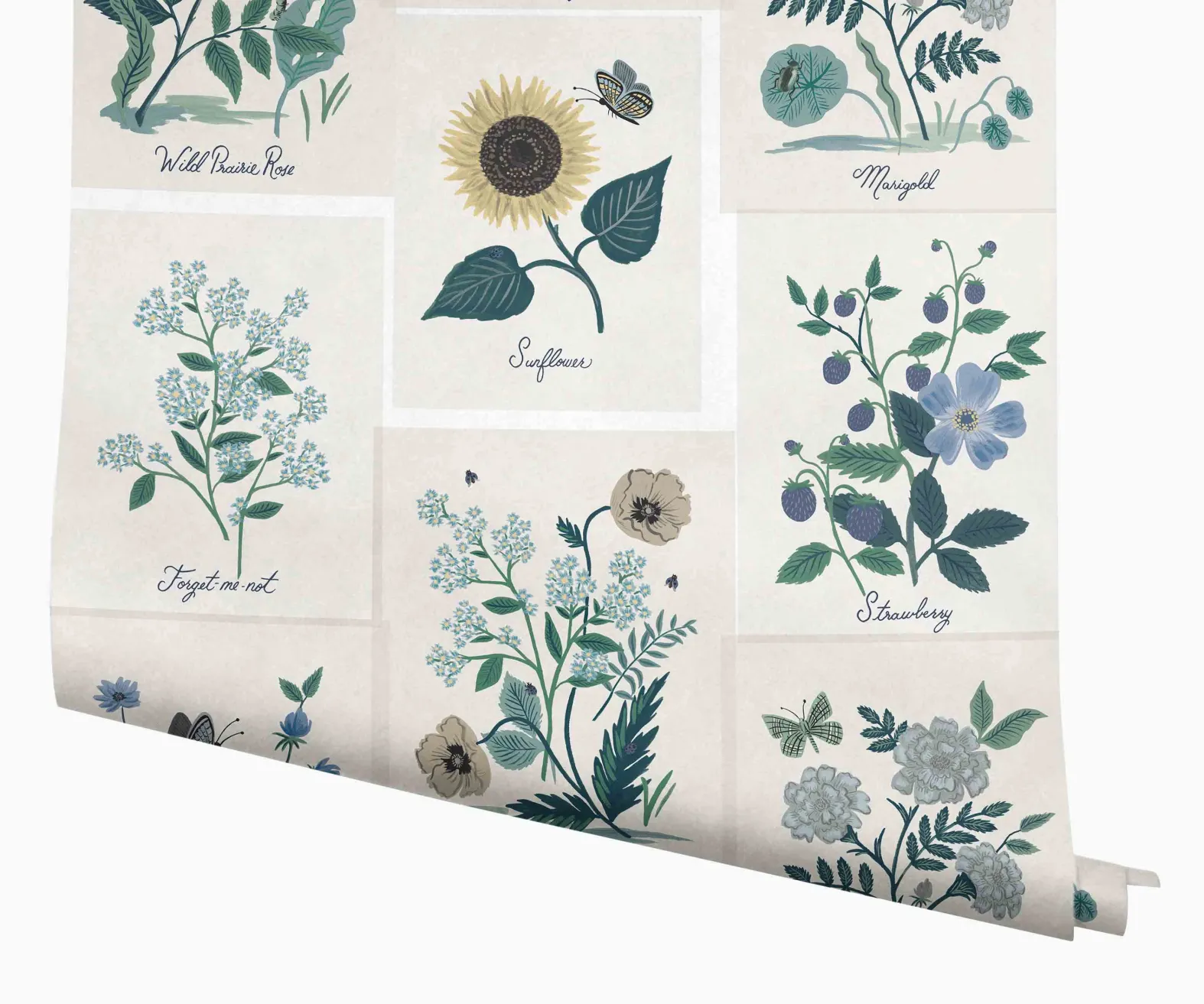 Botanical Prints Wallpaper