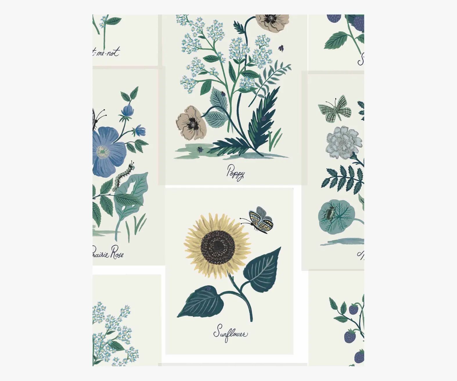 Botanical Prints Wallpaper