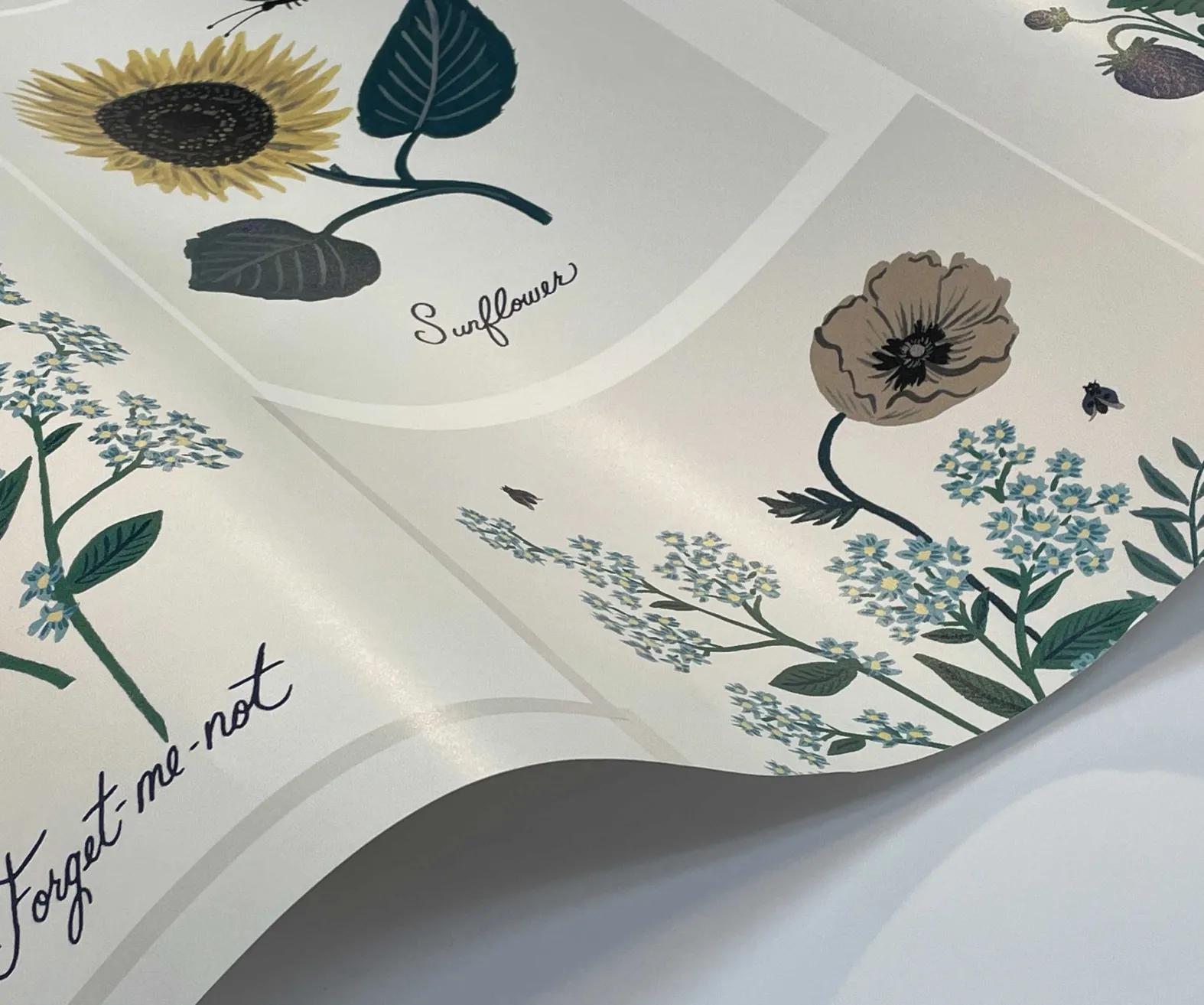 Botanical Prints Wallpaper