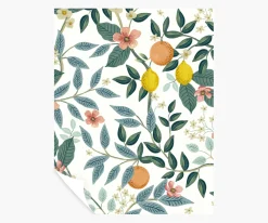 Citrus Grove Peel & Stick Wallpaper Sample