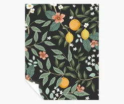 Citrus Grove Peel & Stick Wallpaper Sample