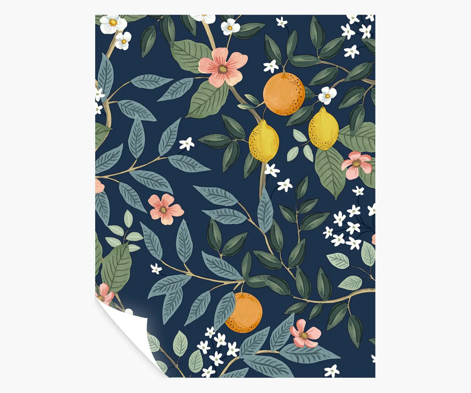 Citrus Grove Peel & Stick Wallpaper Sample