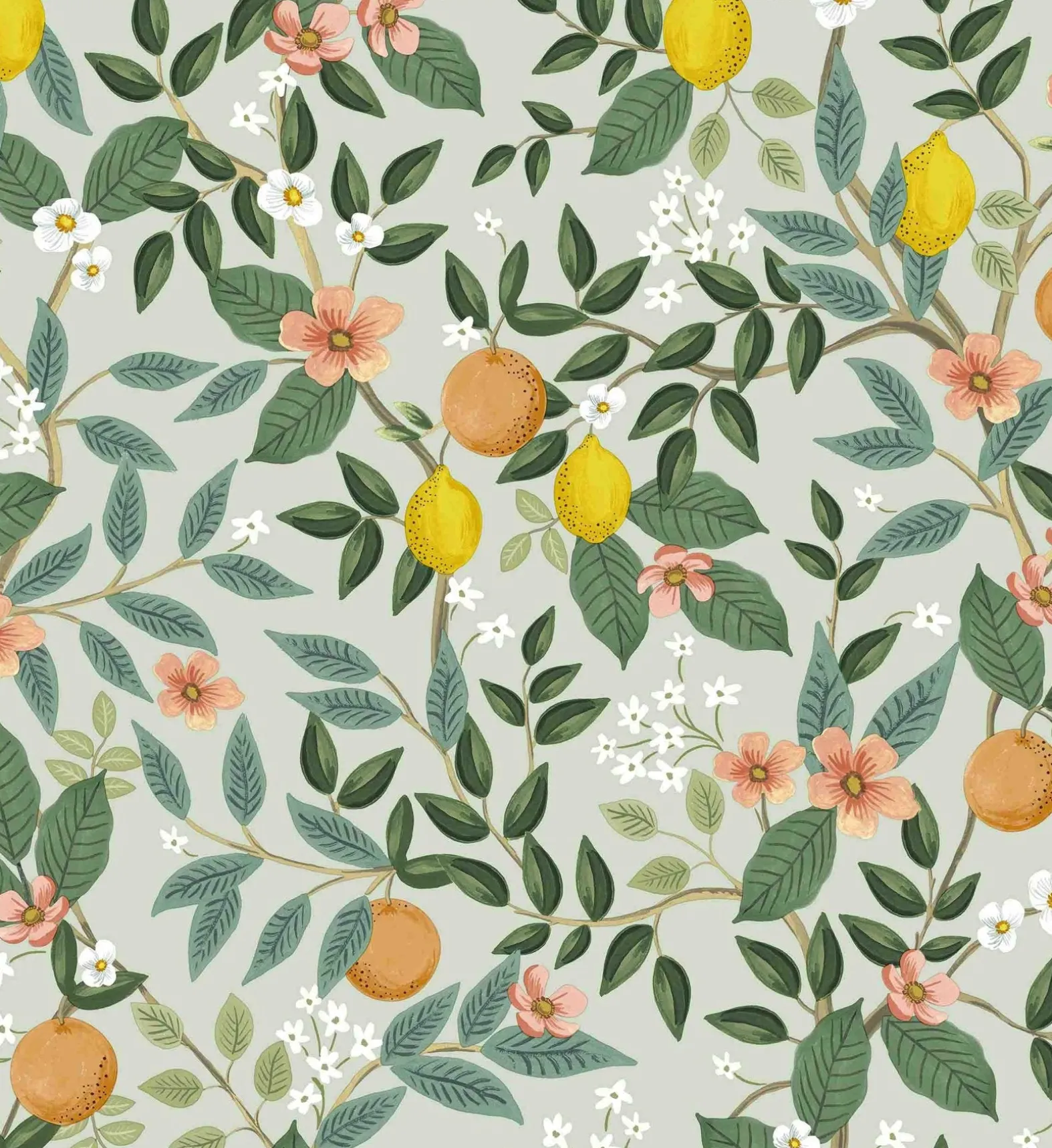 Citrus Grove Peel & Stick Wallpaper
