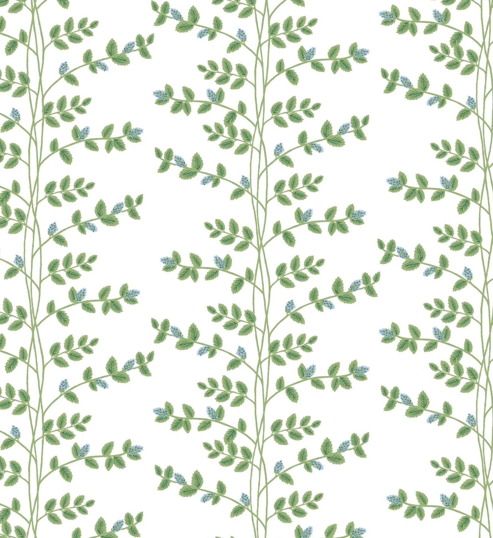 Climbing Vines Wallpaper