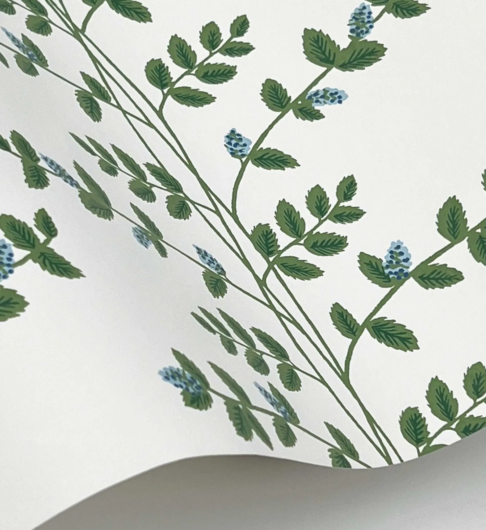 Climbing Vines Wallpaper