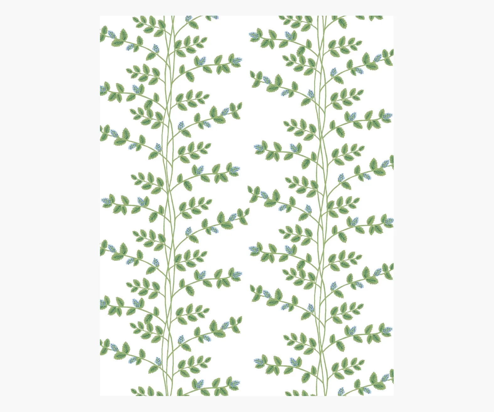 Climbing Vines Wallpaper