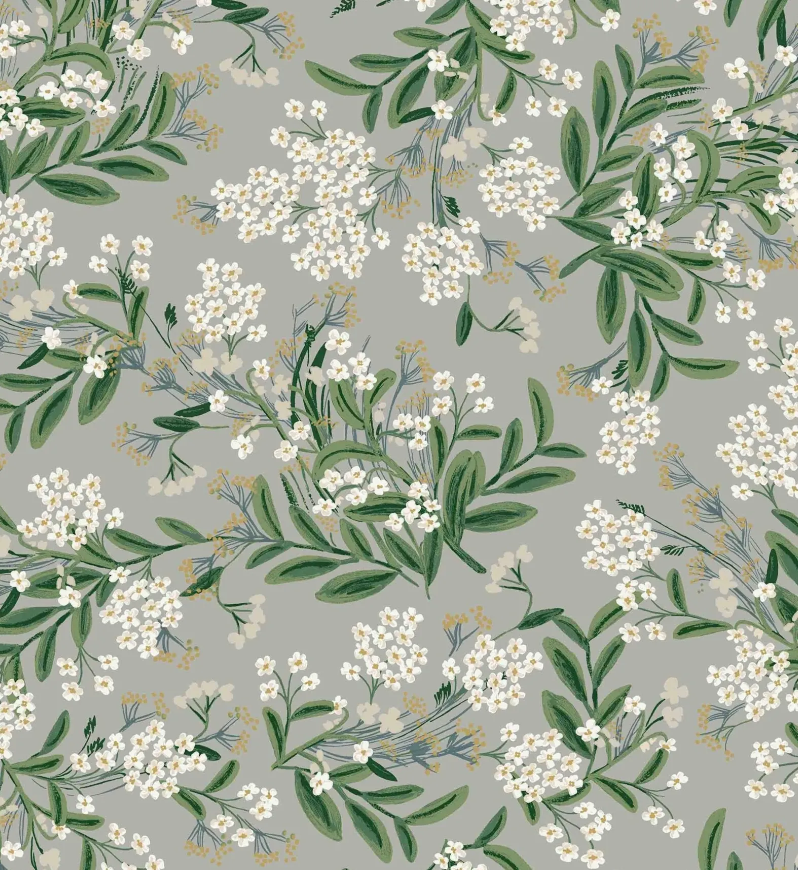 Cornflower Wallpaper