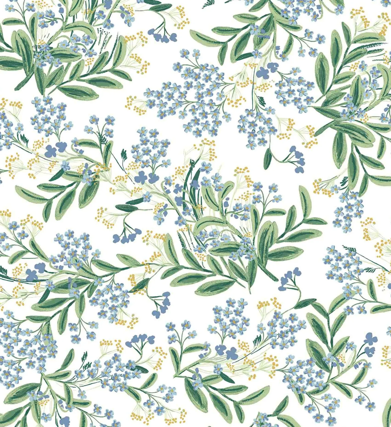 Cornflower Wallpaper