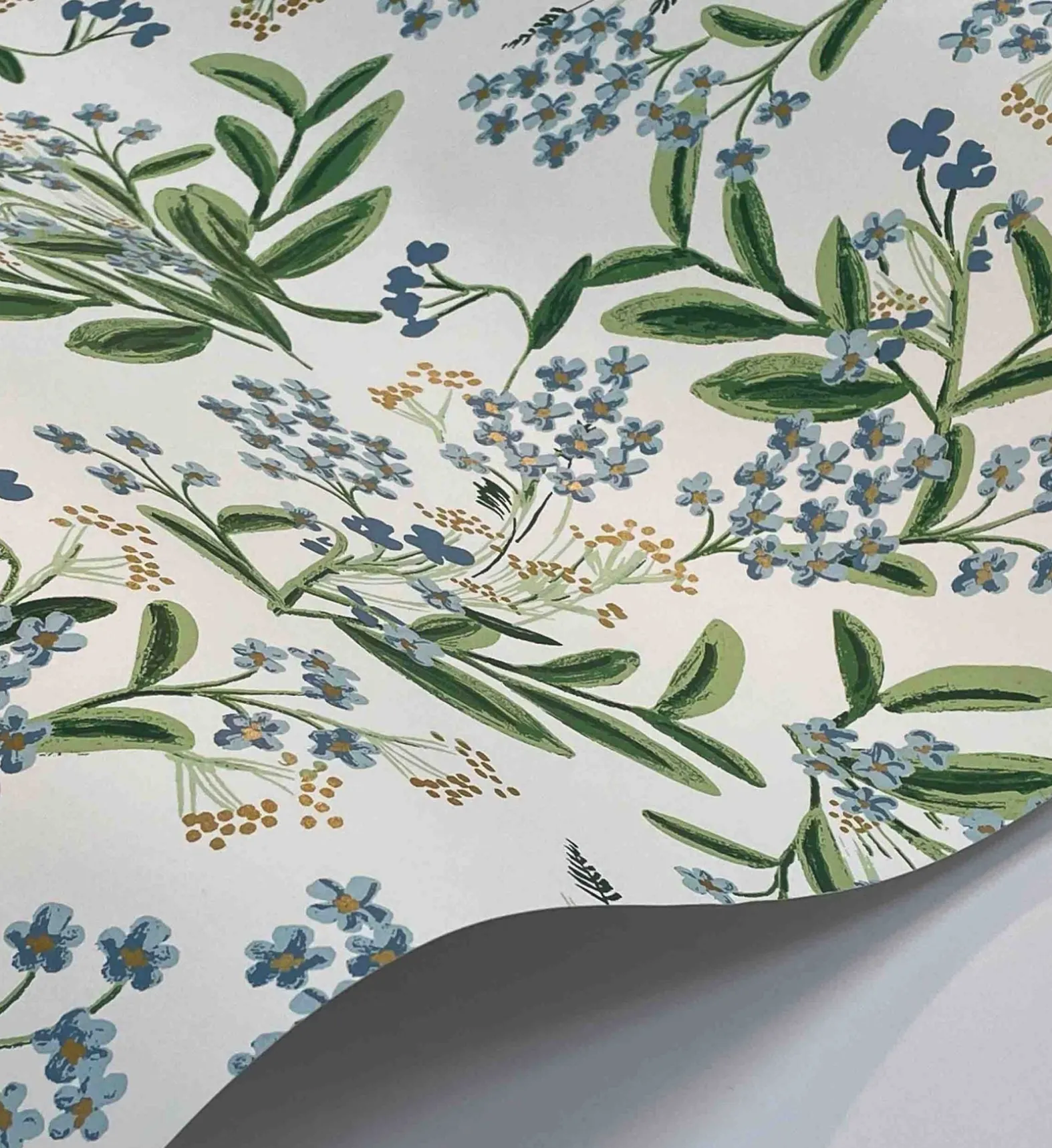 Cornflower Wallpaper