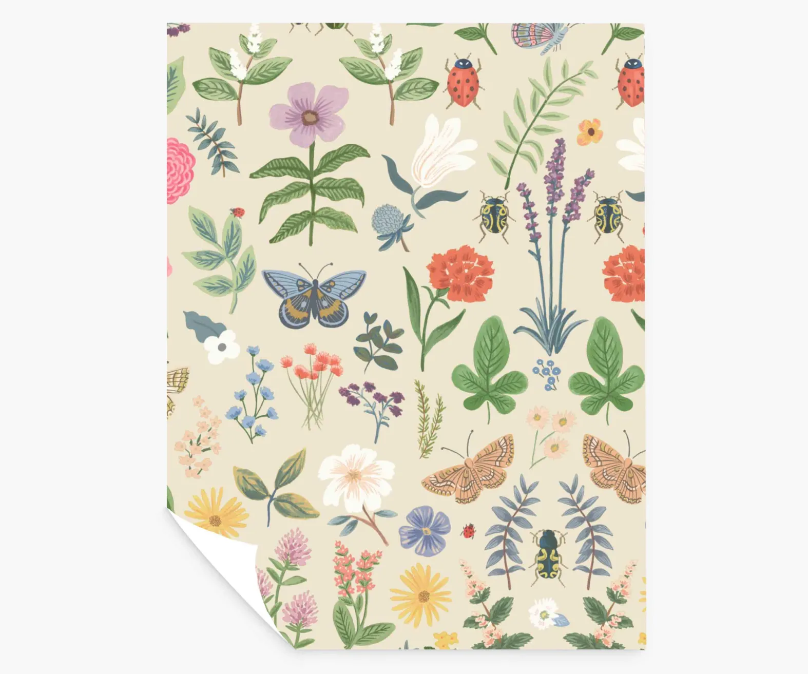 Curio Peel & Stick Wallpaper Sample