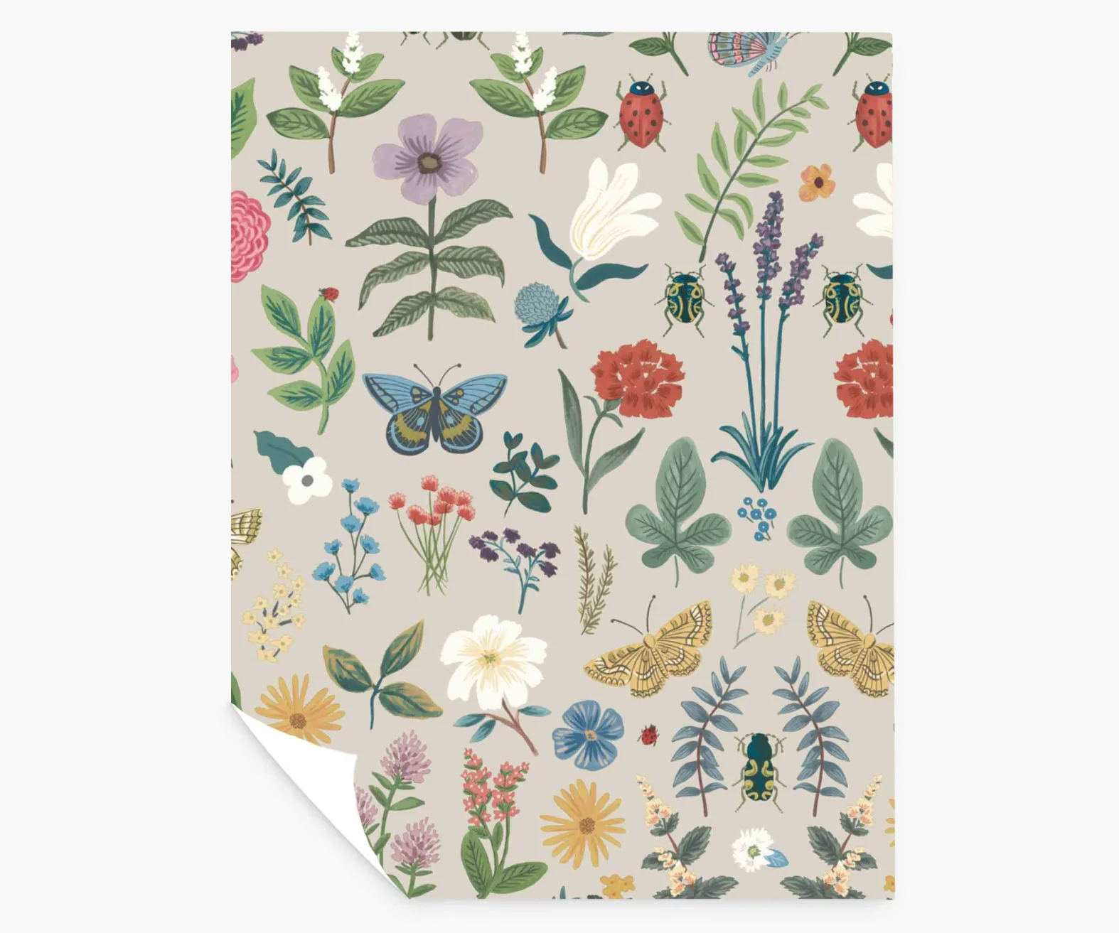 Curio Peel & Stick Wallpaper Sample