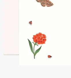 Everyday Personalized Stationery