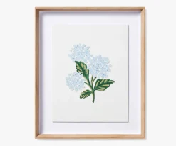 Framed Wall Art