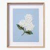 Framed Wall Art