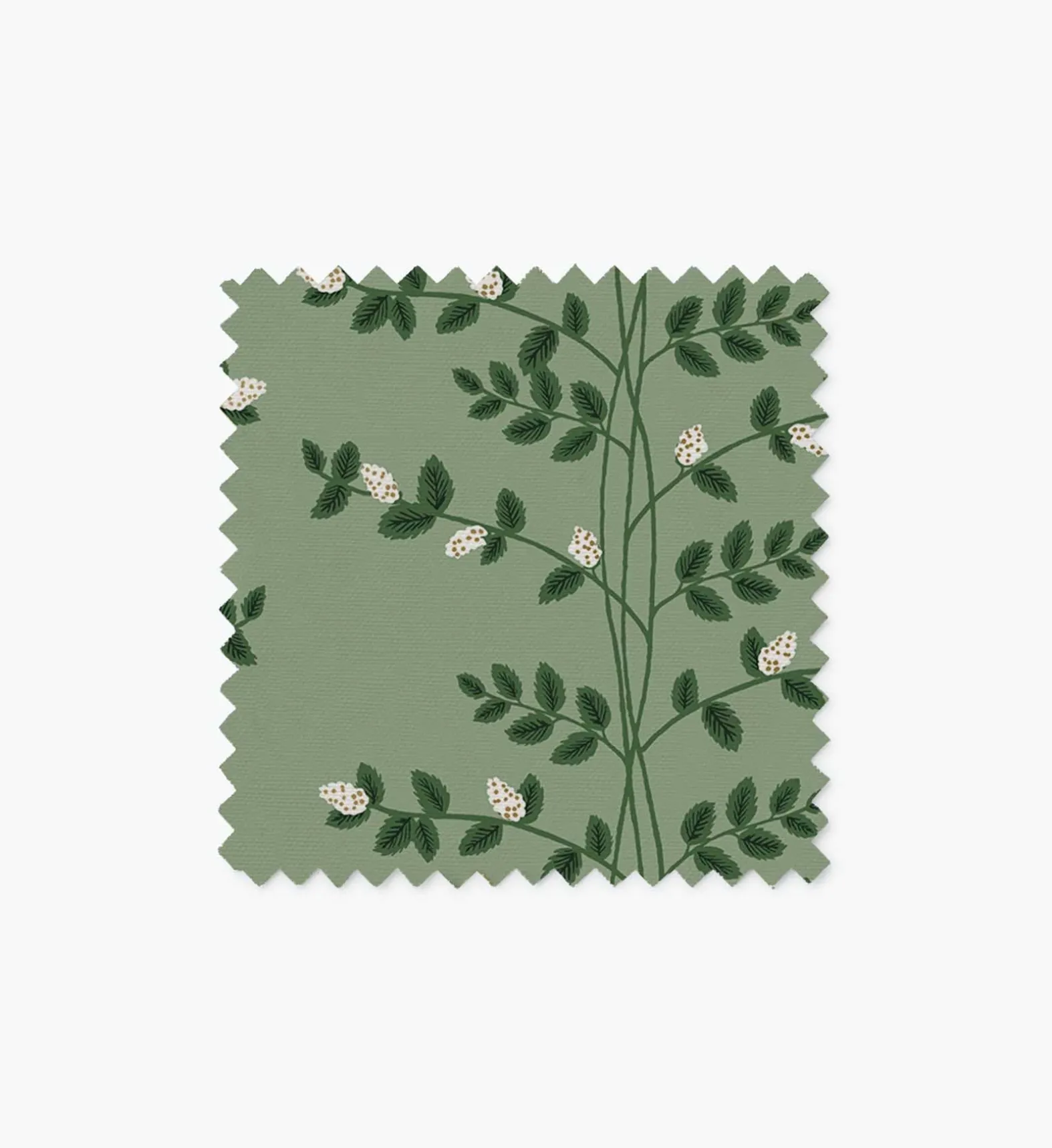 Frances Slipcover