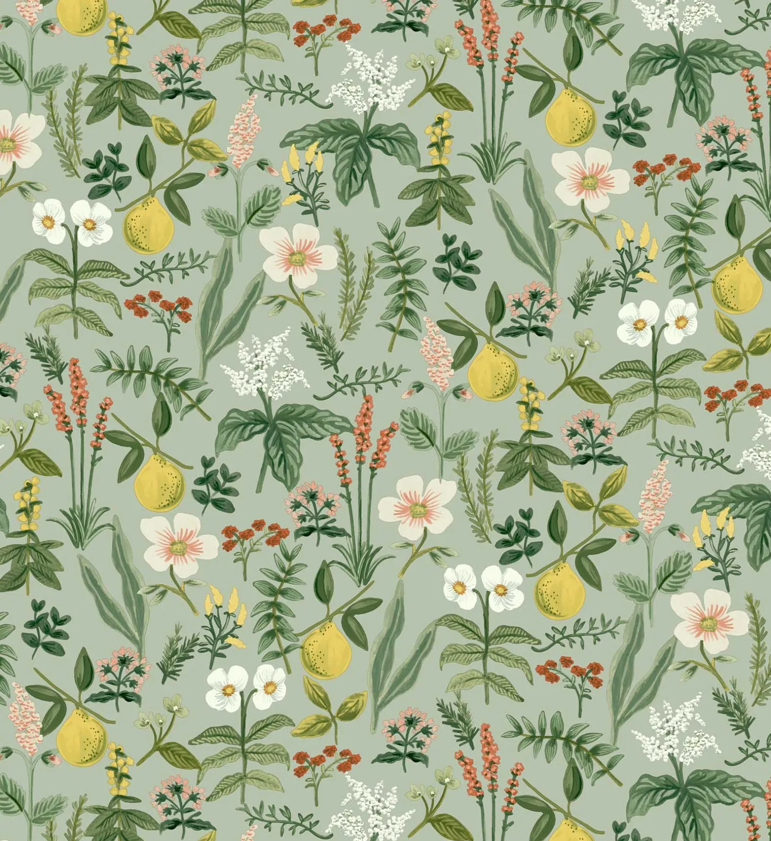Herb Garden Peel & Stick Wallpaper Sample