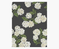 Hydrangea Wallpaper