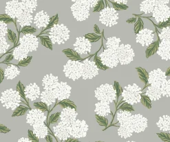 Hydrangea Wallpaper