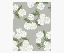 Hydrangea Wallpaper